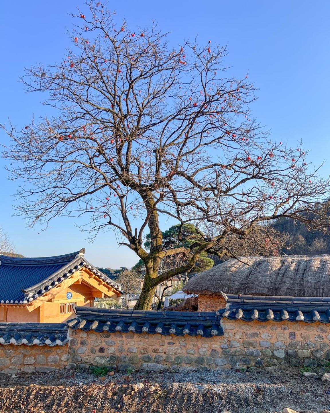 Jukheon Traditional House Andong Eksteriør bilde